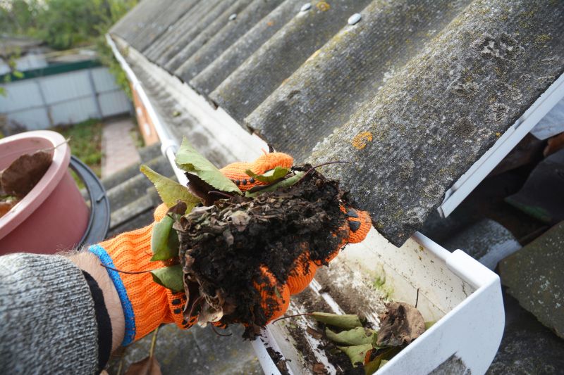 Gutter Pine Needle Removal in Richmond, VA