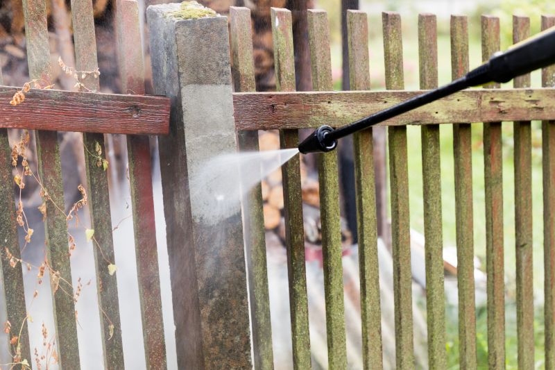 Fence Cleaning Process